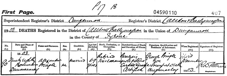 Death Certificate of Alexander Pringle - 28 November 1903