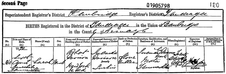Birth Certificate of Sarah Davison - 6 April 1890