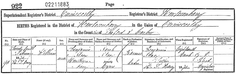Birth Certificate of William Stacey - 24 February 1871
